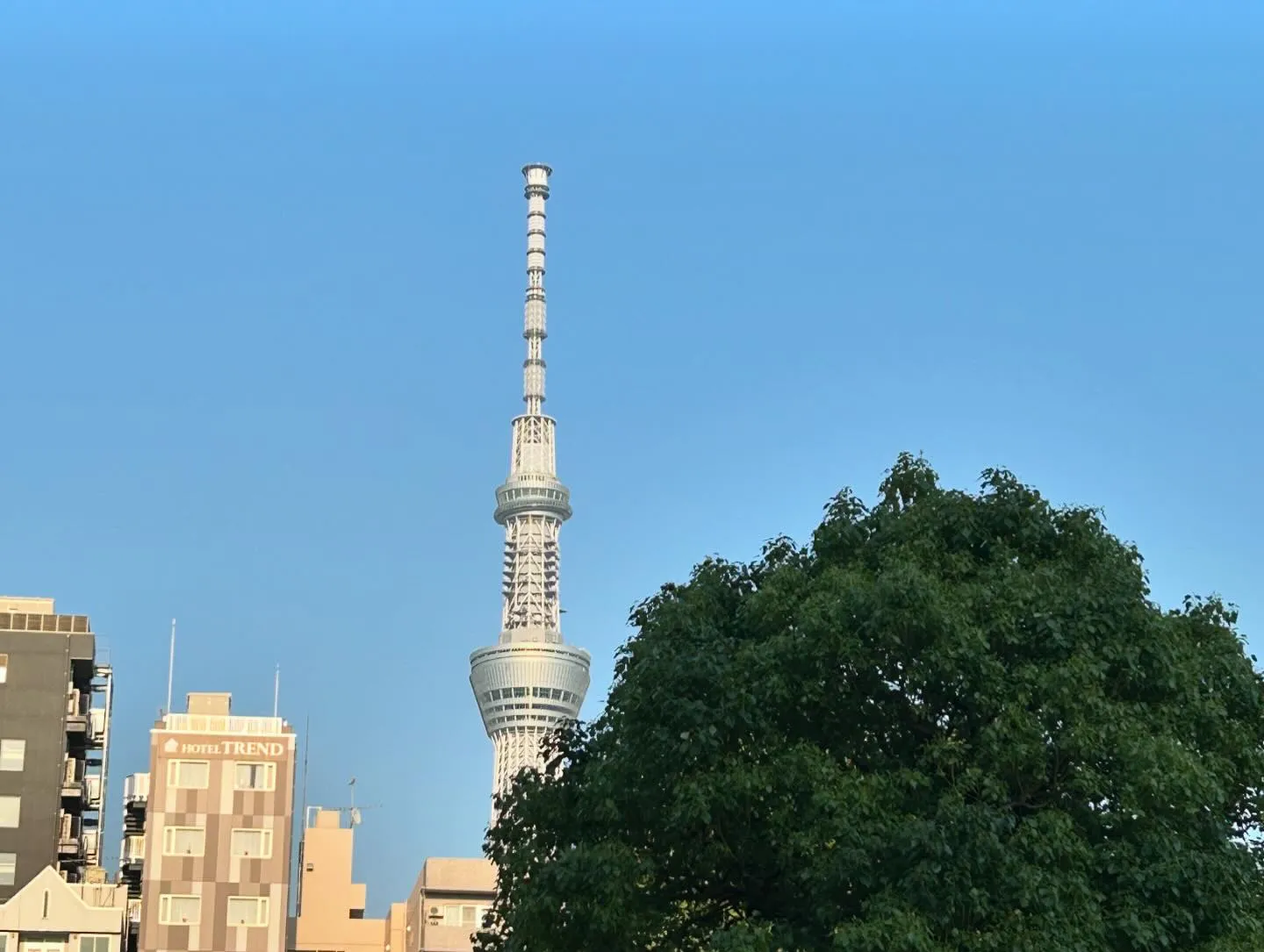 ～東京に来ています～