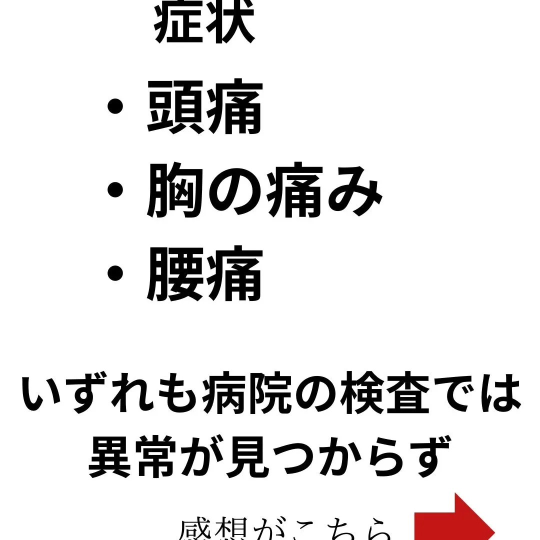 【鶴橋のカイロカイロワールド】