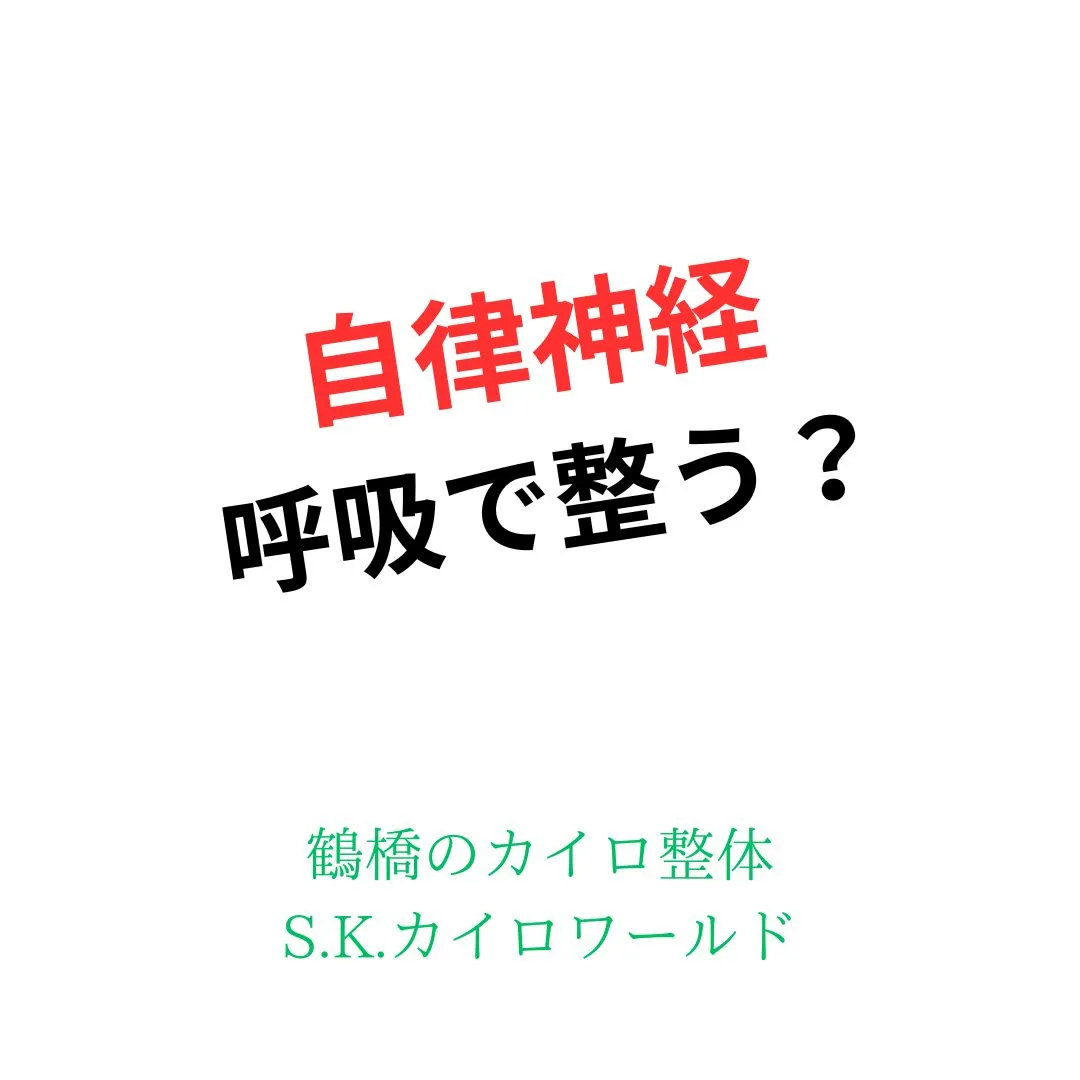 【鶴橋のカイロ整体 S.K.カイロワールド】