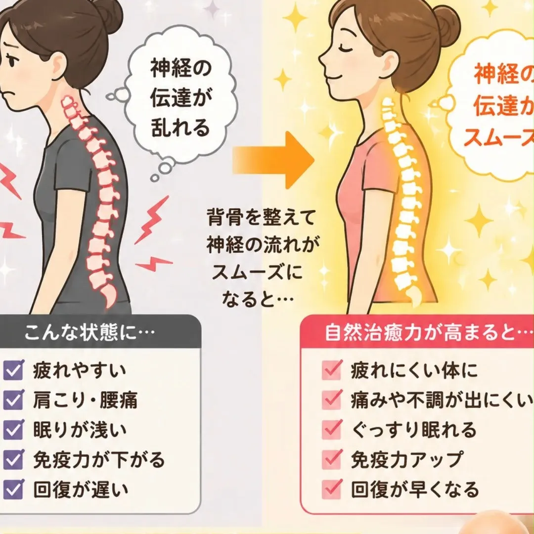 背骨と「自然治癒力」には、どんな関係があるのでしょうか？